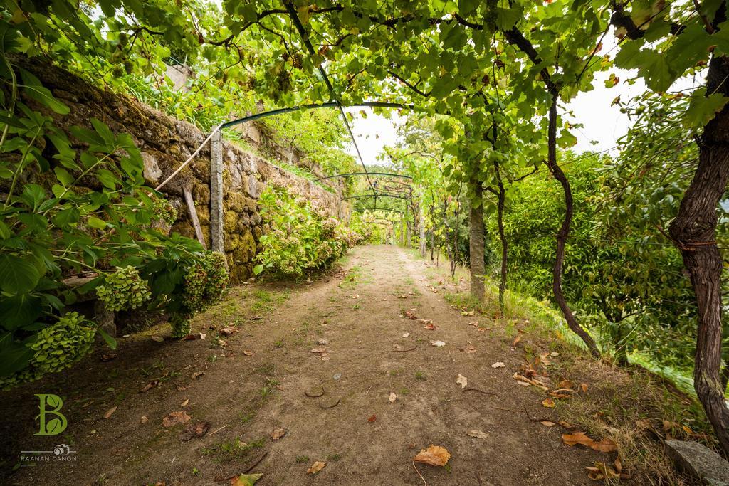 Quinta Da Bouca - Agroturismo Pacos de Gaiolo Værelse billede