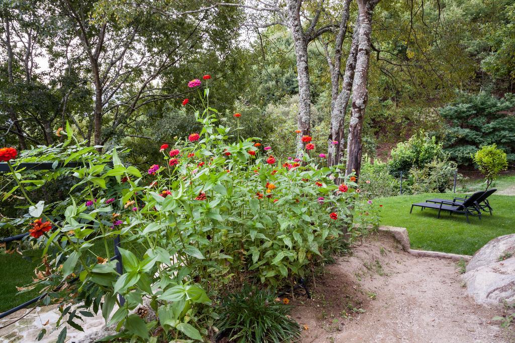 Quinta Da Bouca - Agroturismo Pacos de Gaiolo Værelse billede